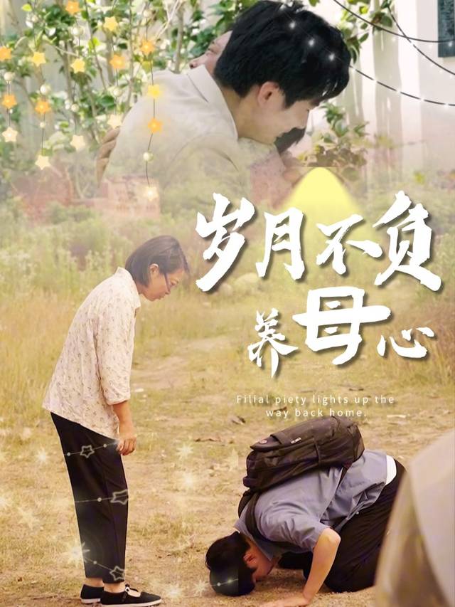 岁月不负养母心封面