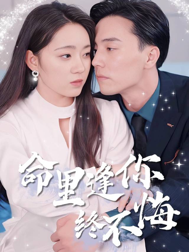 命里逢你终不悔封面