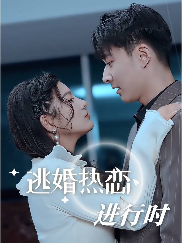 逃婚热恋进行时封面