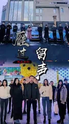 雁过留声封面
