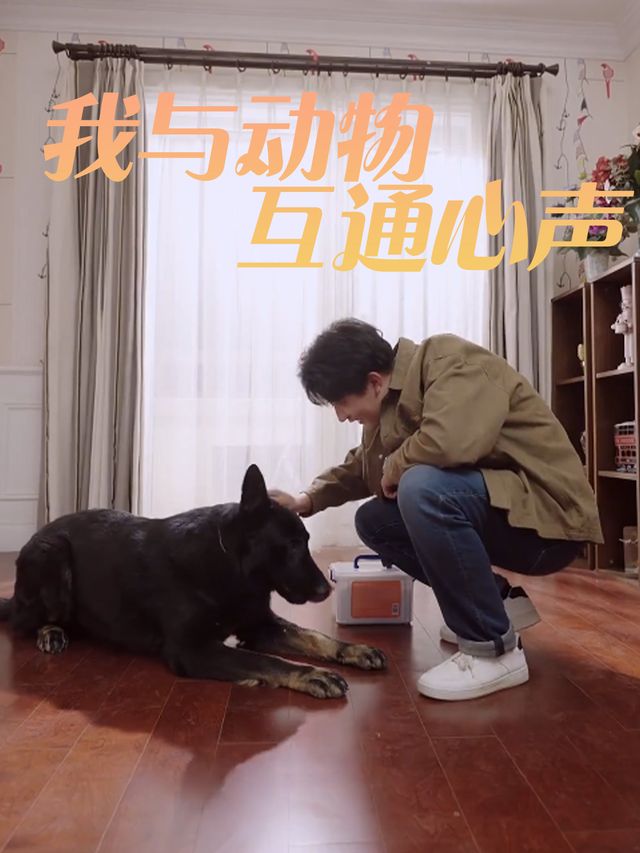 我与动物互通心声封面