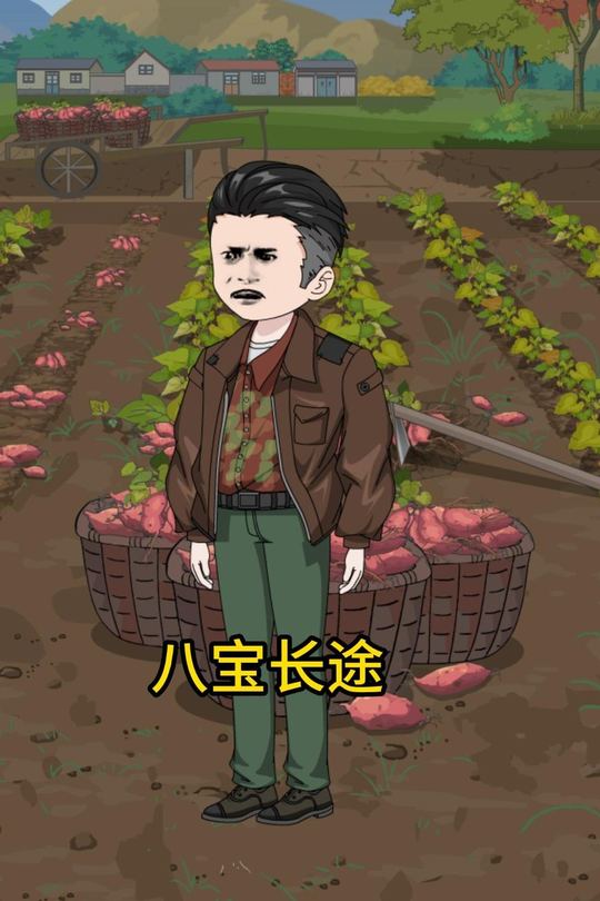 八宝长途封面