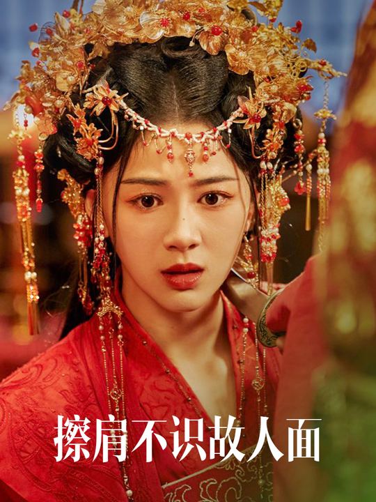擦肩不识故人面封面