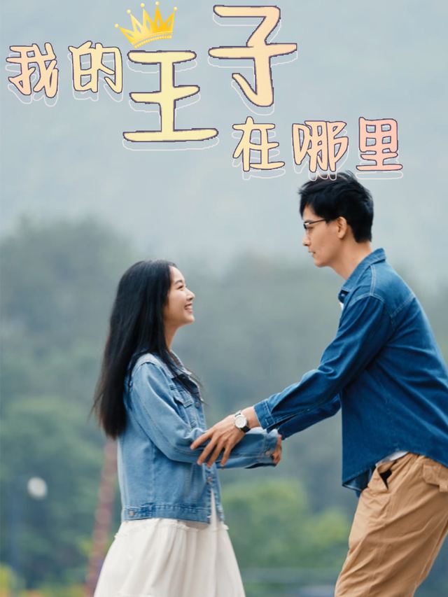 我的王子在哪里封面