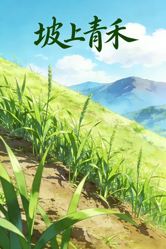 坡上青禾封面