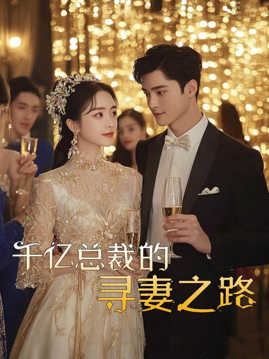 千亿总裁的寻妻之路封面