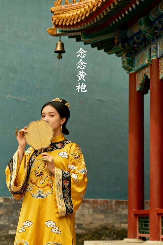 念念黄袍封面