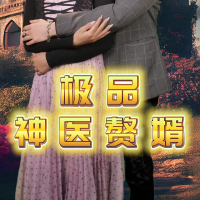 极品神医赘婿封面