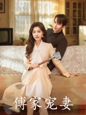 傅家宠妻封面