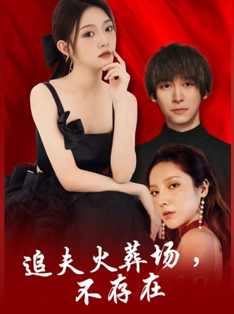 追夫火葬场,不存在封面
