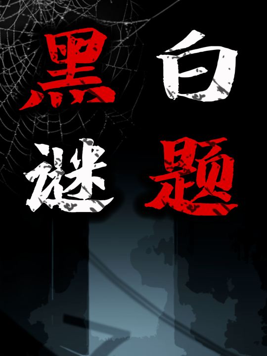 黑白谜题封面