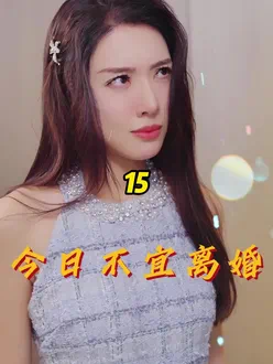 今日不宜离婚封面