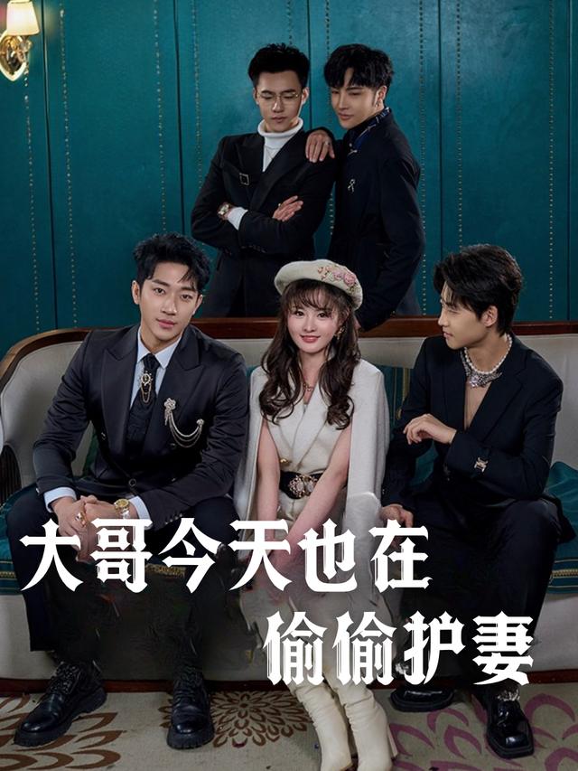 大哥今天也在偷偷护妻封面