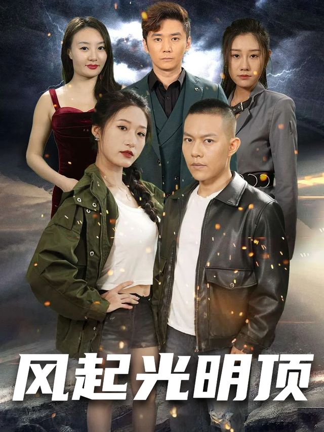风起光明顶封面