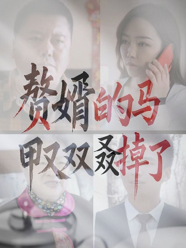 赘婿的马甲又双叒掉了封面