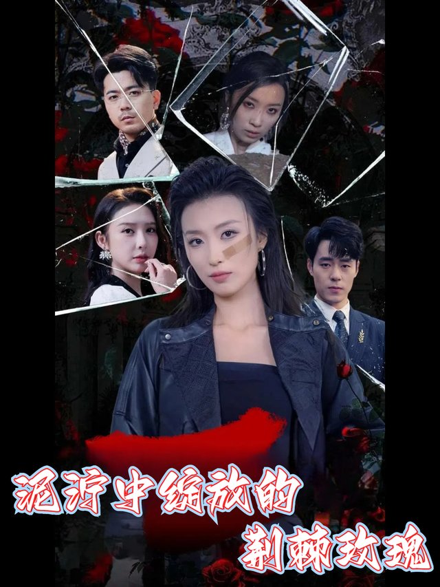 泥泞中绽放的荆棘玫瑰封面