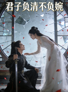 君子负清不负婉封面