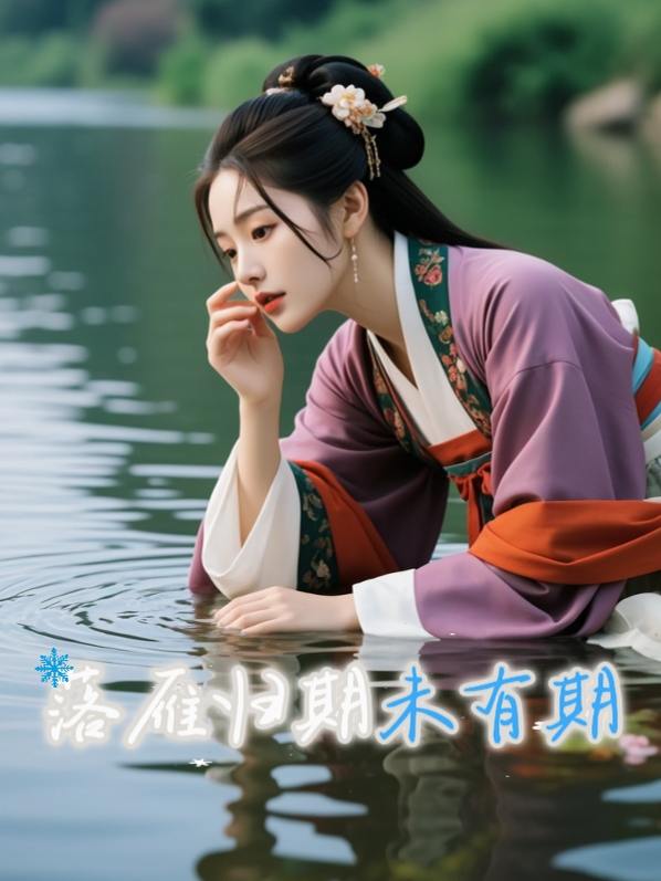 落雁归期未有期封面