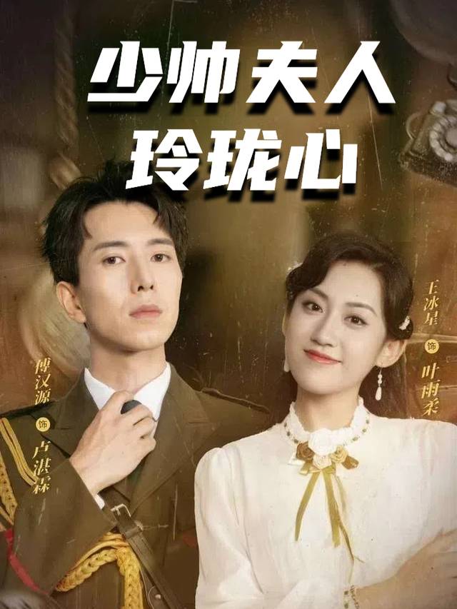 少帅夫人玲珑心封面