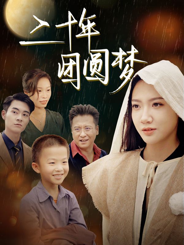 二十年团圆梦封面