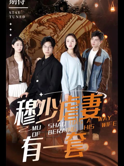 穆少虐妻有一套封面