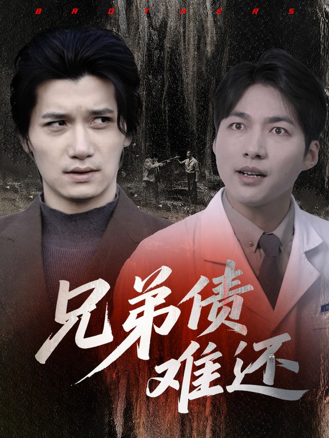 兄弟债难还封面