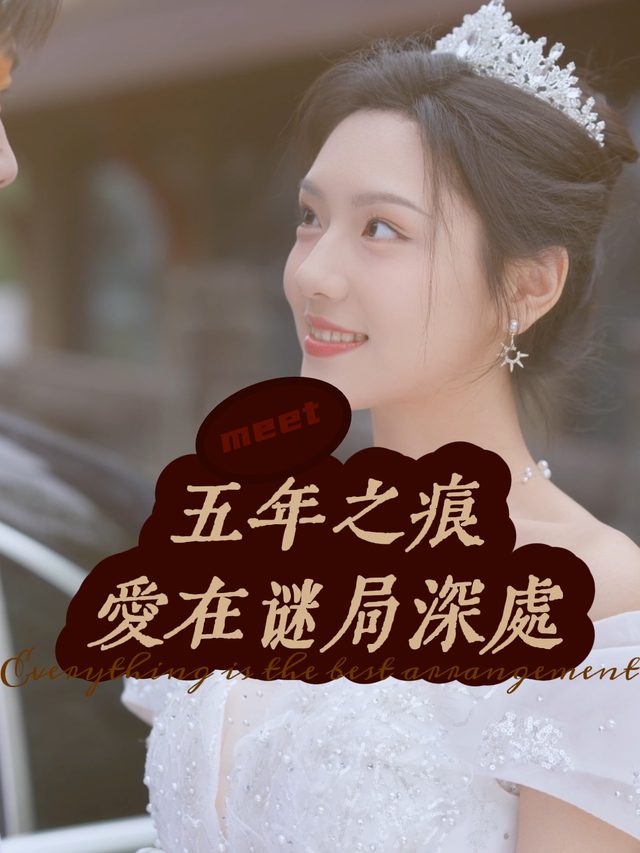 五年之痕:爱在谜局深处封面