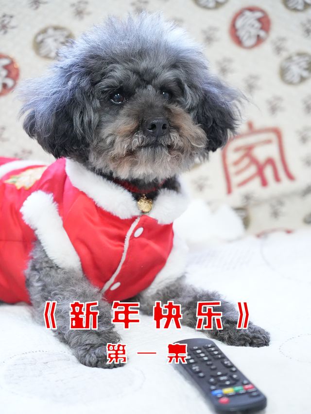 神犬锤锤之新年快乐封面