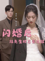 闪婚后,陆先生对恋爱过敏封面