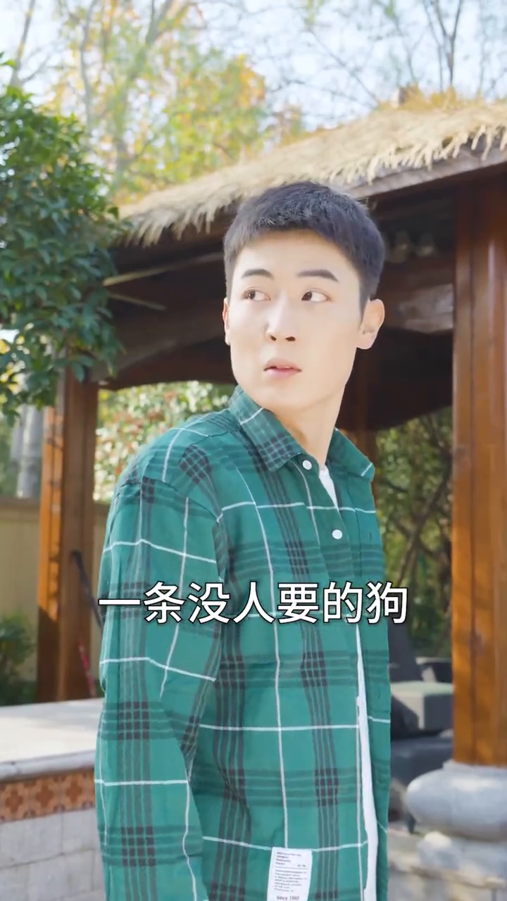 医者仁心耀凡尘封面