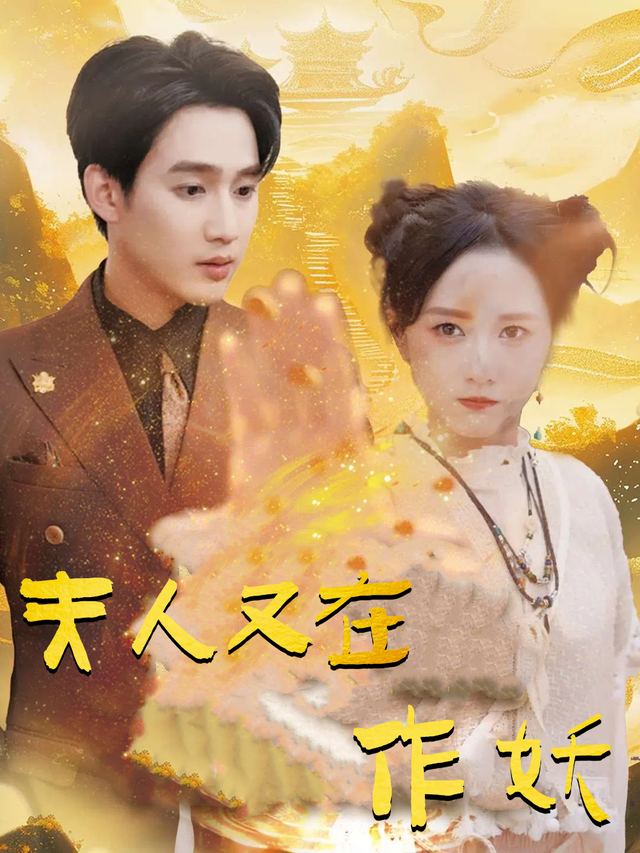 夫人又在作妖封面