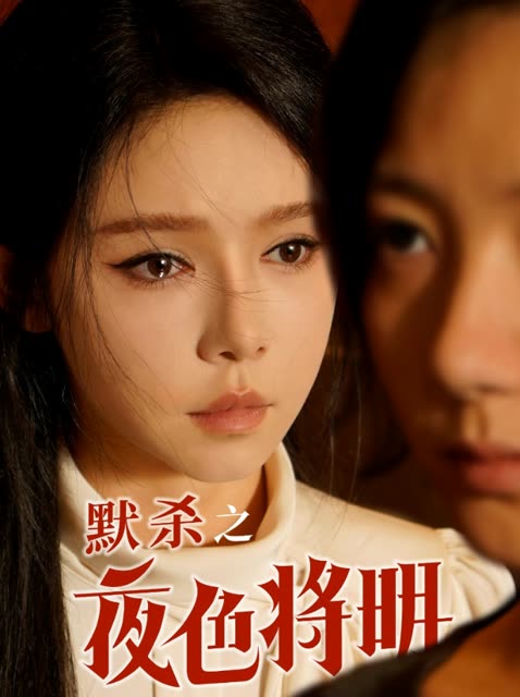 默杀之夜色将明封面