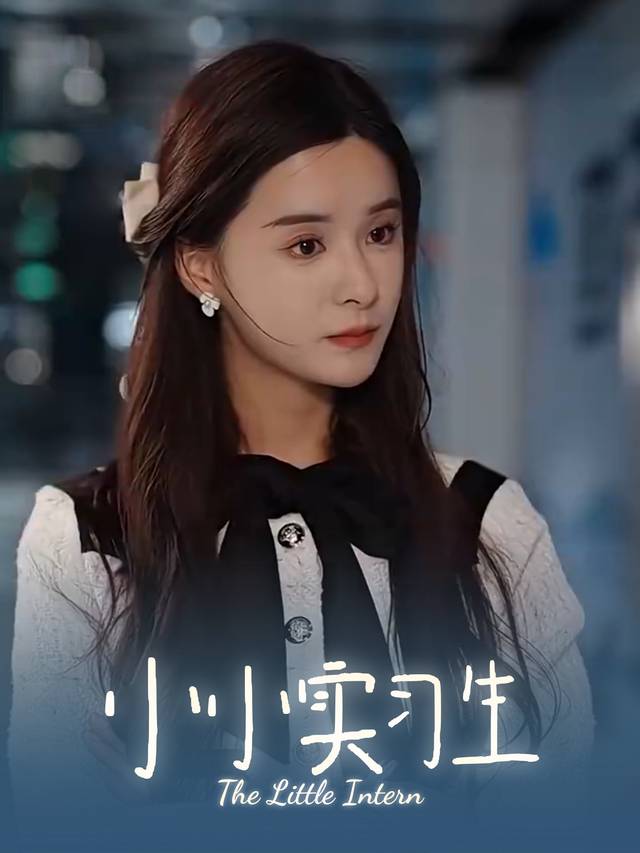 小小实习生封面