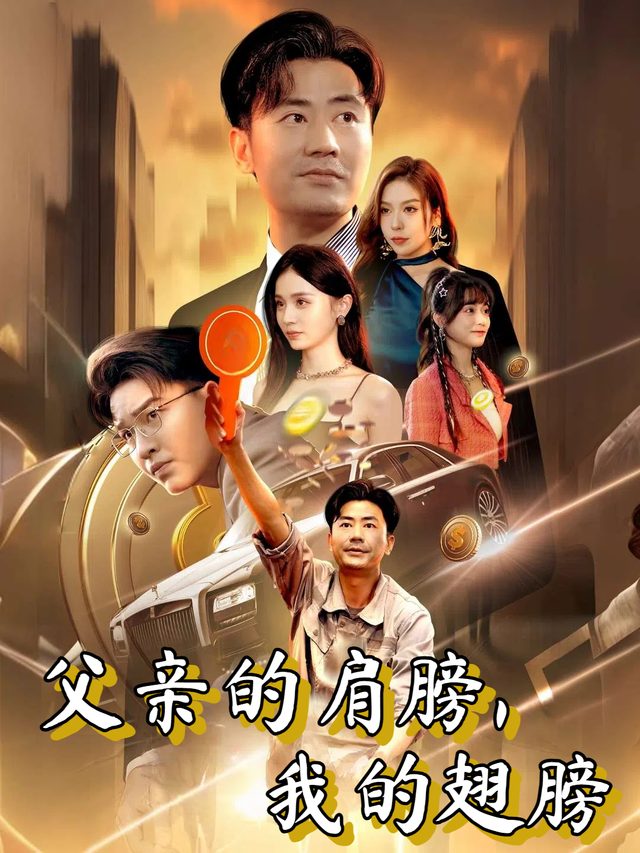 父亲的肩膀,我的翅膀封面