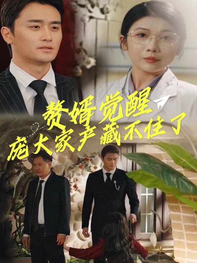 赘婿觉醒:庞大家产藏不住了封面