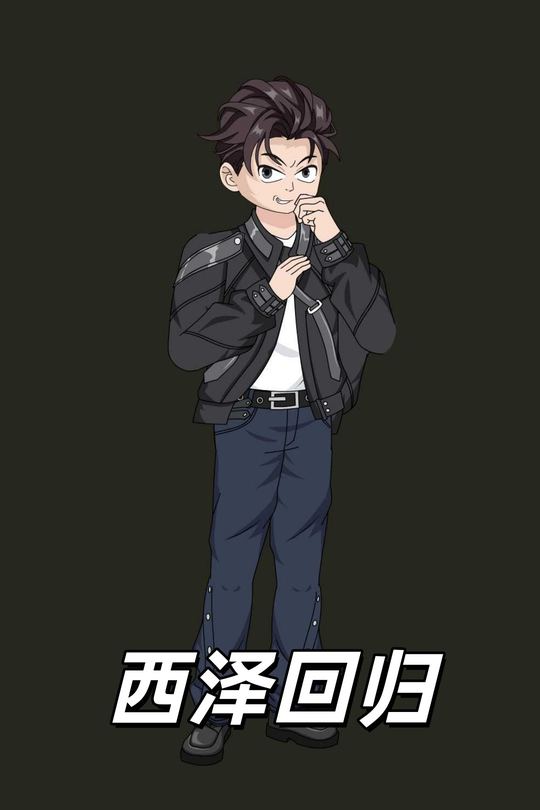 西泽回归封面