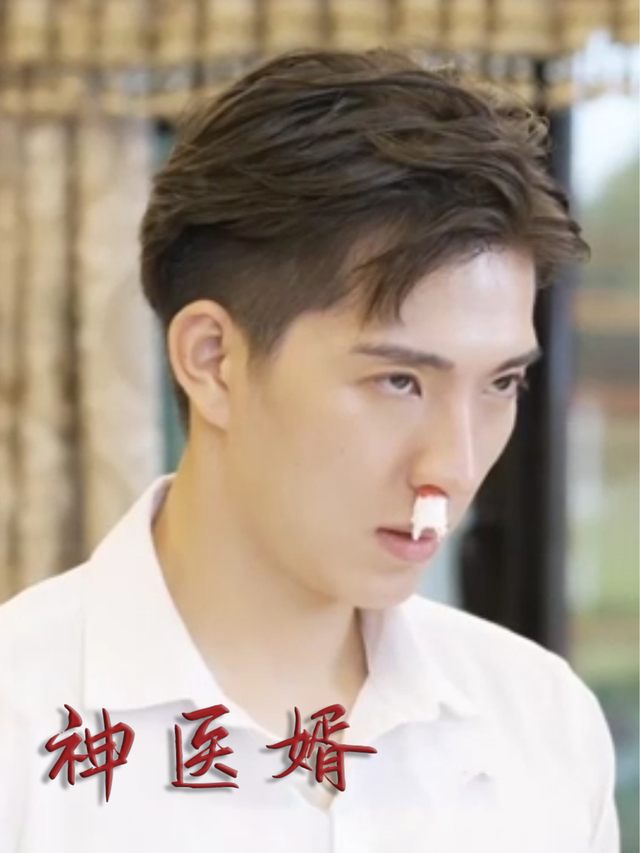 神医婿封面
