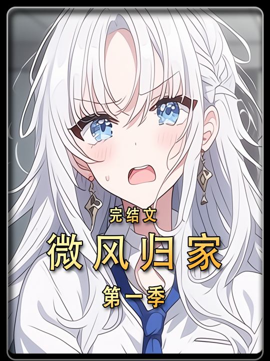 微风归家第一季完结封面
