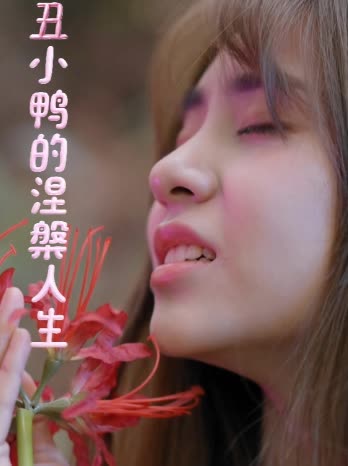 丑小鸭的涅槃人生封面