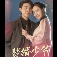 赘婿少爷封面