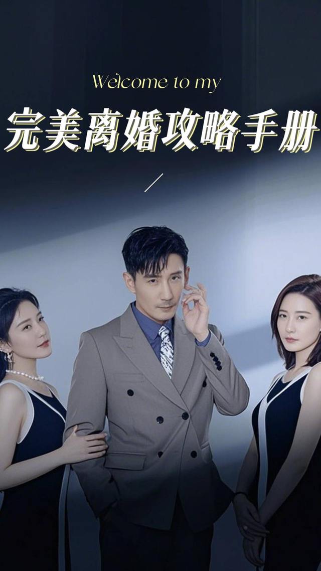完美离婚攻略手册封面