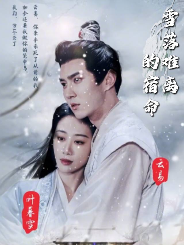 雪落难离的宿命封面