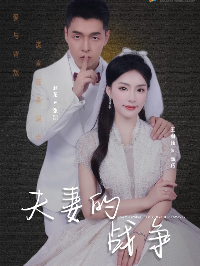夫妻的战争封面