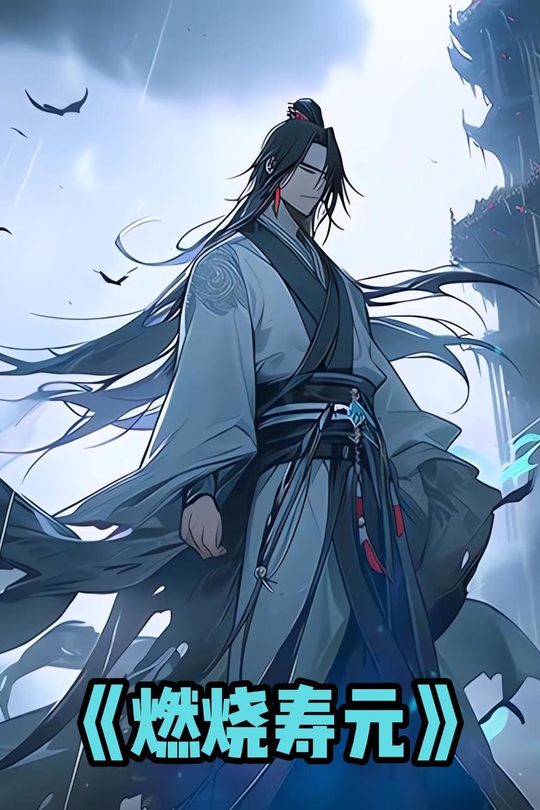 燃烧寿元封面