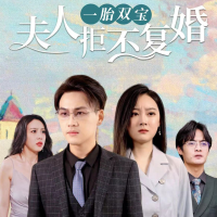 一胎双宝夫人据不复婚封面