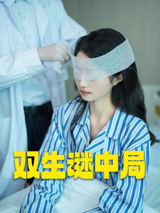 双生谜中局封面