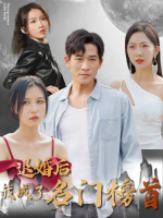 退婚后我成了名门榜首封面