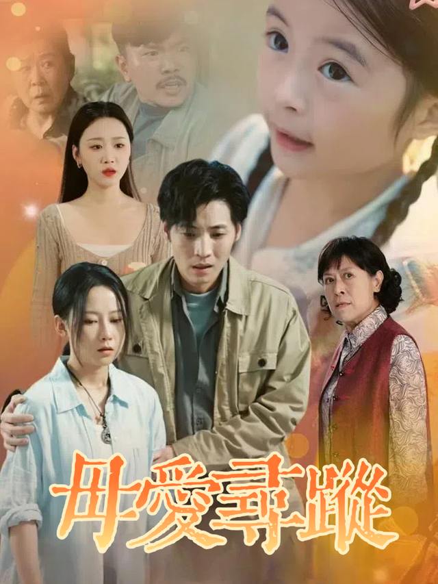 母爱寻踪封面