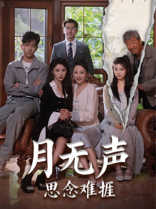 月无声,思念难捱封面