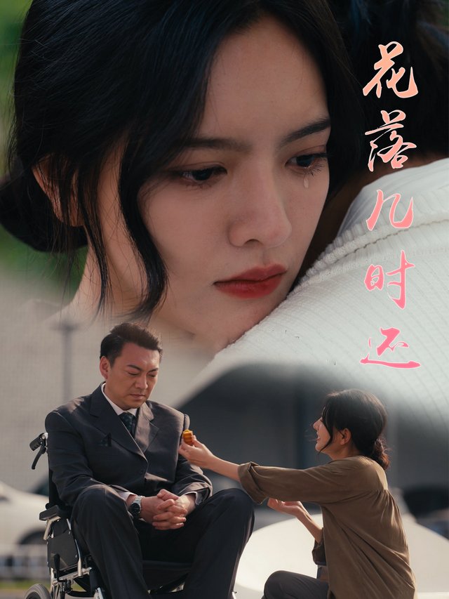 花落几时还封面